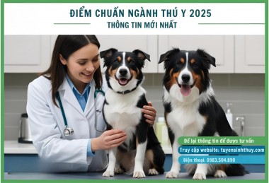 ĐIỂM CHUẨN NGÀNH THÚ Y 2025 – THÔNG TIN MỚI NHẤT