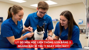 LÝ DO NÊN HỌC LIÊN THÔNG VĂN BẰNG 2 NGÀNH BÁC SĨ THÚ Y NGAY HÔM NAY!