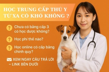 7 Câu hỏi thường gặp khi học Trung cấp Thú y từ xa – Giải đáp rõ ràng trước khi đăng ký