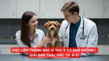 HỌC LIÊN THÔNG BÁC SĨ THÚ Y CÓ KHÓ KHÔNG? GIẢI ĐÁP THẮC MẮC TỪ A-Z!