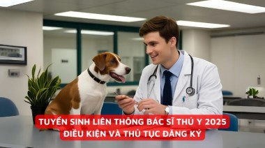 TUYỂN SINH LIÊN THÔNG BÁC SĨ THÚ Y 2025 – ĐIỀU KIỆN VÀ THỦ TỤC ĐĂNG KÝ