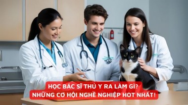 HỌC BÁC SĨ THÚ Y RA LÀM GÌ? NHỮNG CƠ HỘI NGHỀ NGHIỆP HOT NHẤT!