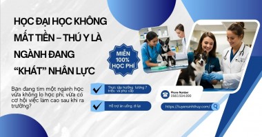 Học đại học không mất tiền – Thú y là ngành đang “khát” nhân lực