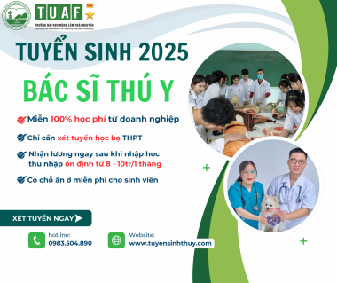 Tuyển Sinh Ngành Bác Sĩ Thú Y 2025 – Miễn 100% Học Phí, Thu Nhập 8–10 Triệu/Tháng