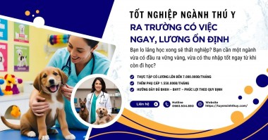 Tốt nghiệp ngành Thú y – Ra trường có việc ngay, lương ổn định