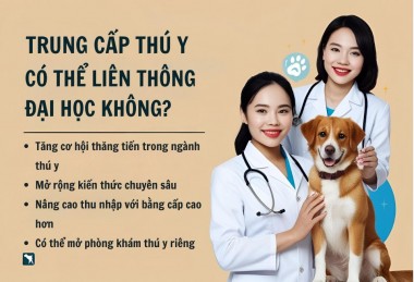 Trung cấp Thú y: Có thể liên thông Đại học không?
