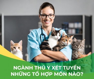 Năm 2024 ngành Thú y xét tuyển những tổ hợp môn nào?